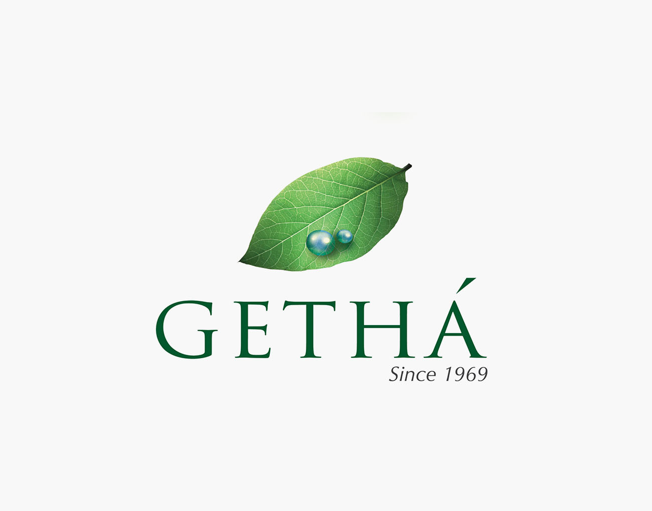 Challenge Statements Getha - The Greentech Accelerator 2022
