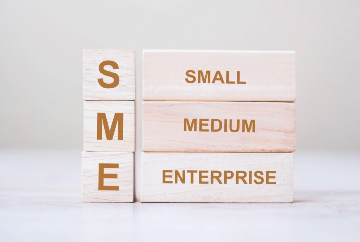 Articles - The 2023 action plan for SMEs