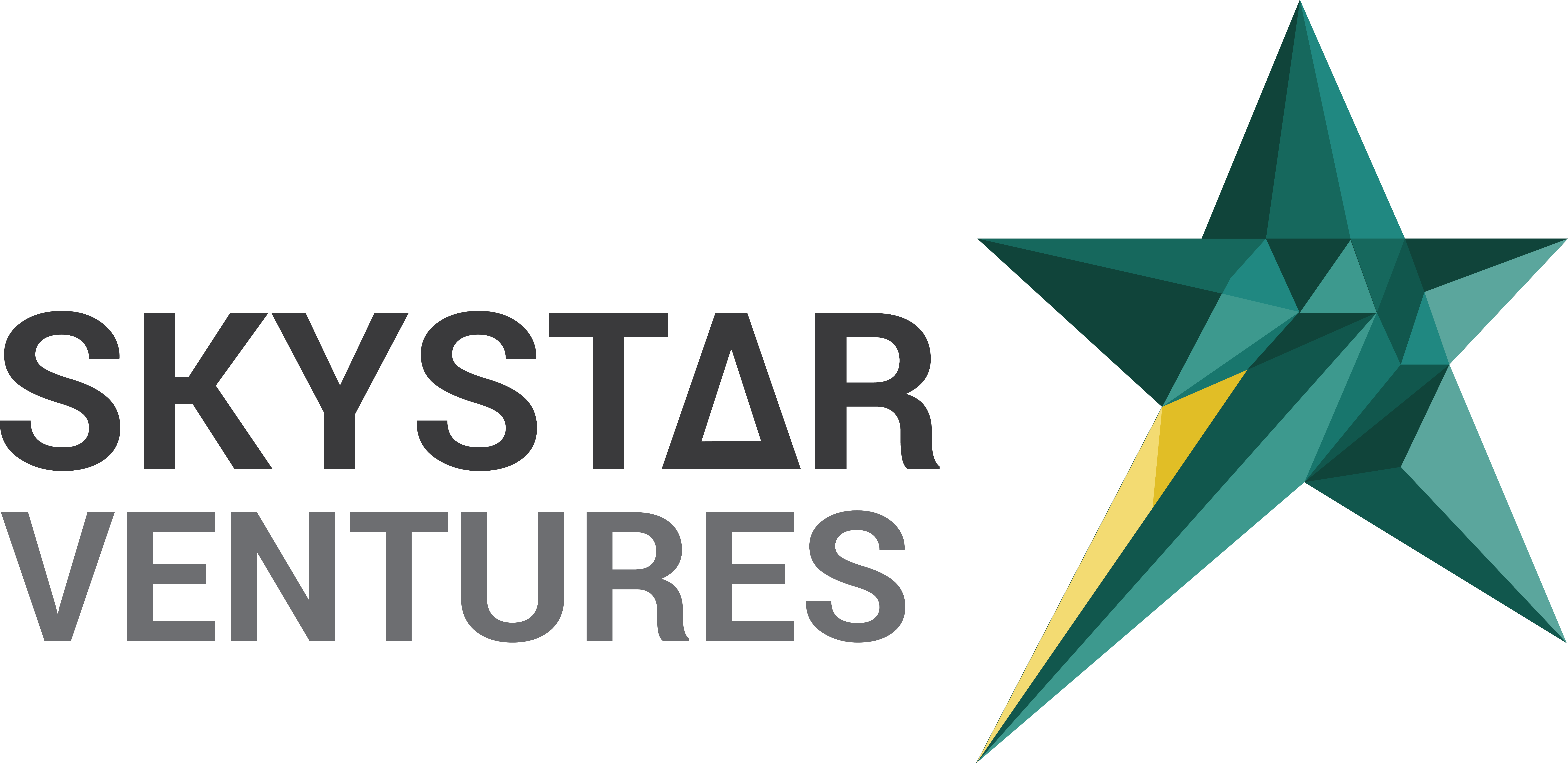 Skystar Logo Black - Indonesia
