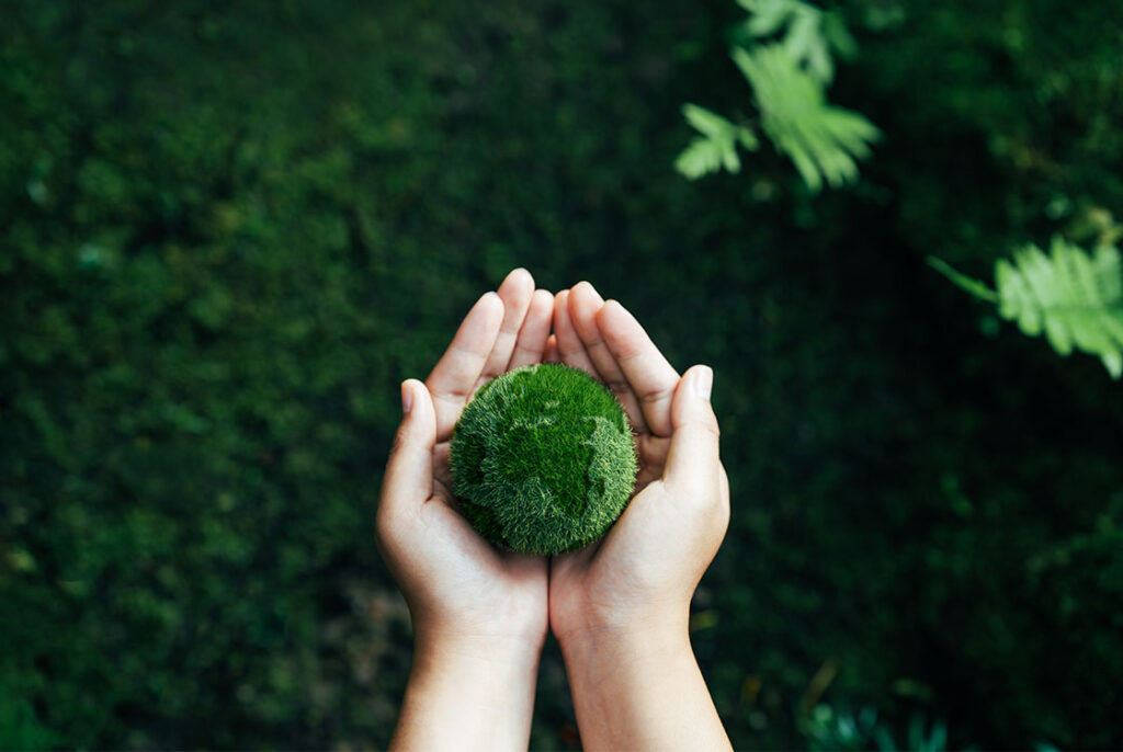 Sip 2025 Building A Sustainable Future For Smes - Zero Waste Essentials Course Details