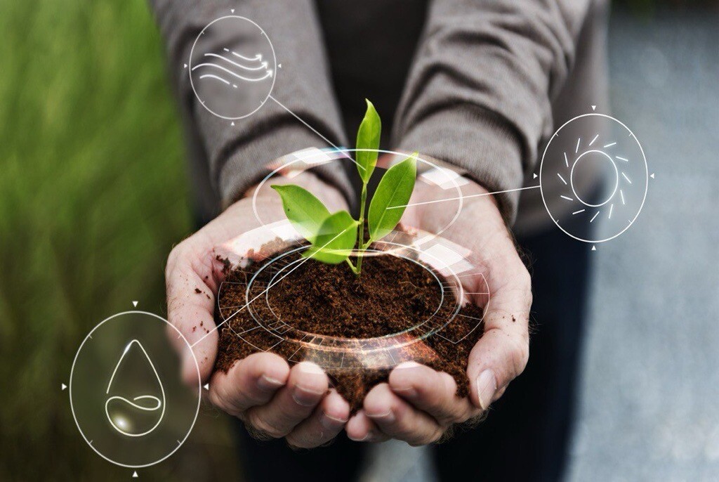 Featured Image For Sustainability Trends In Singapore For 2025