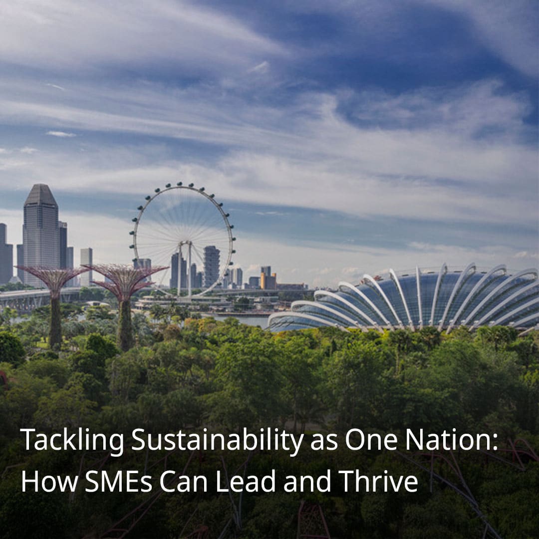 Uob Finlab Article Highlights Tackling Sustainability As One Nation How Smes Can Lead And Thrive - Article