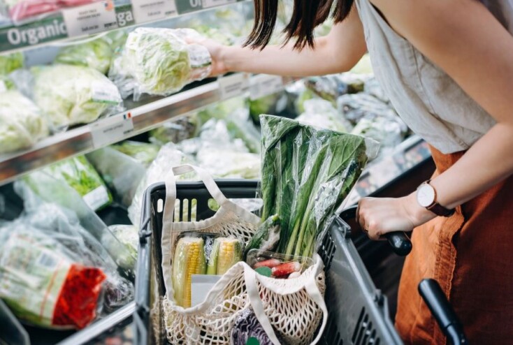 Article Image - The Consumer Shift: Green Choices Driving Sme Change