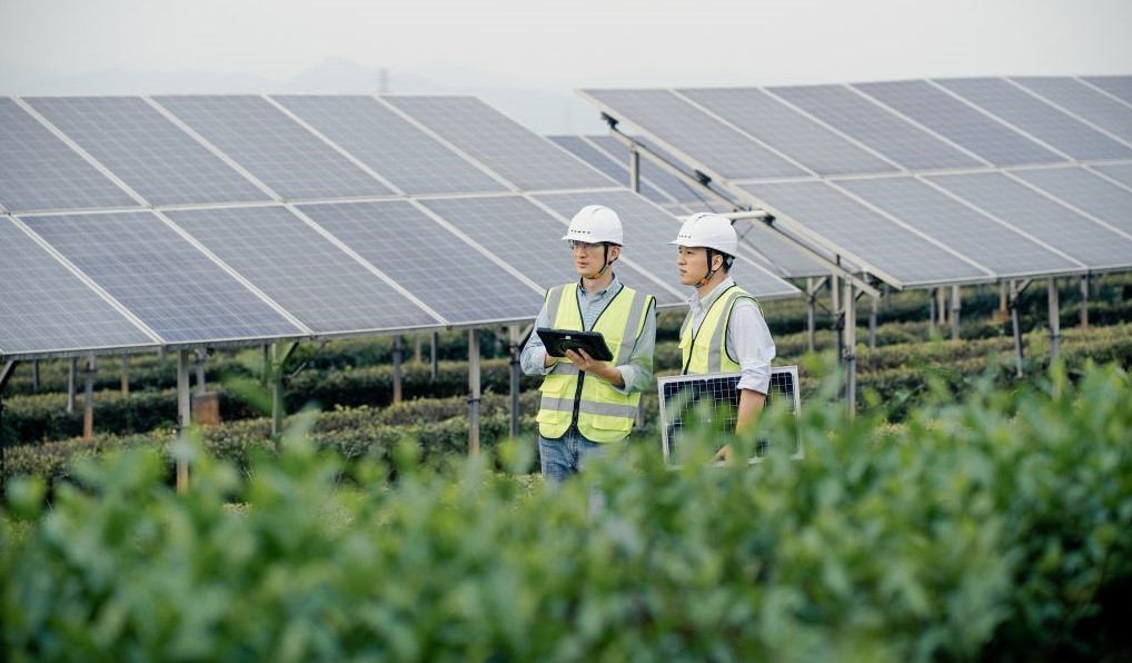 Update 8 1 - The Convergence Of Ai And Sustainability