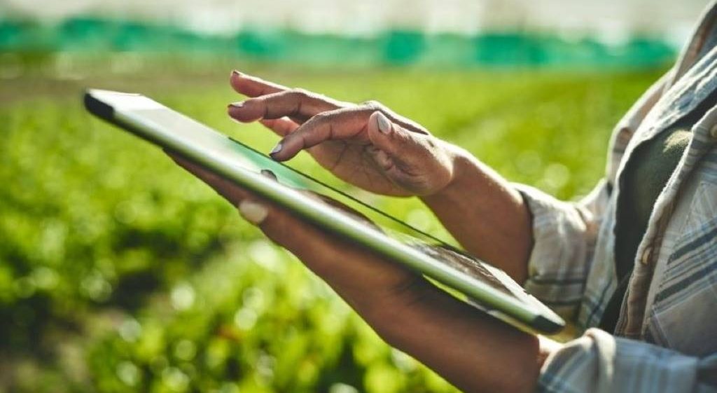 Gettyimages-1373228664 (1)